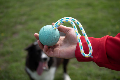 SPORTSPET Football Bounce on a Rope