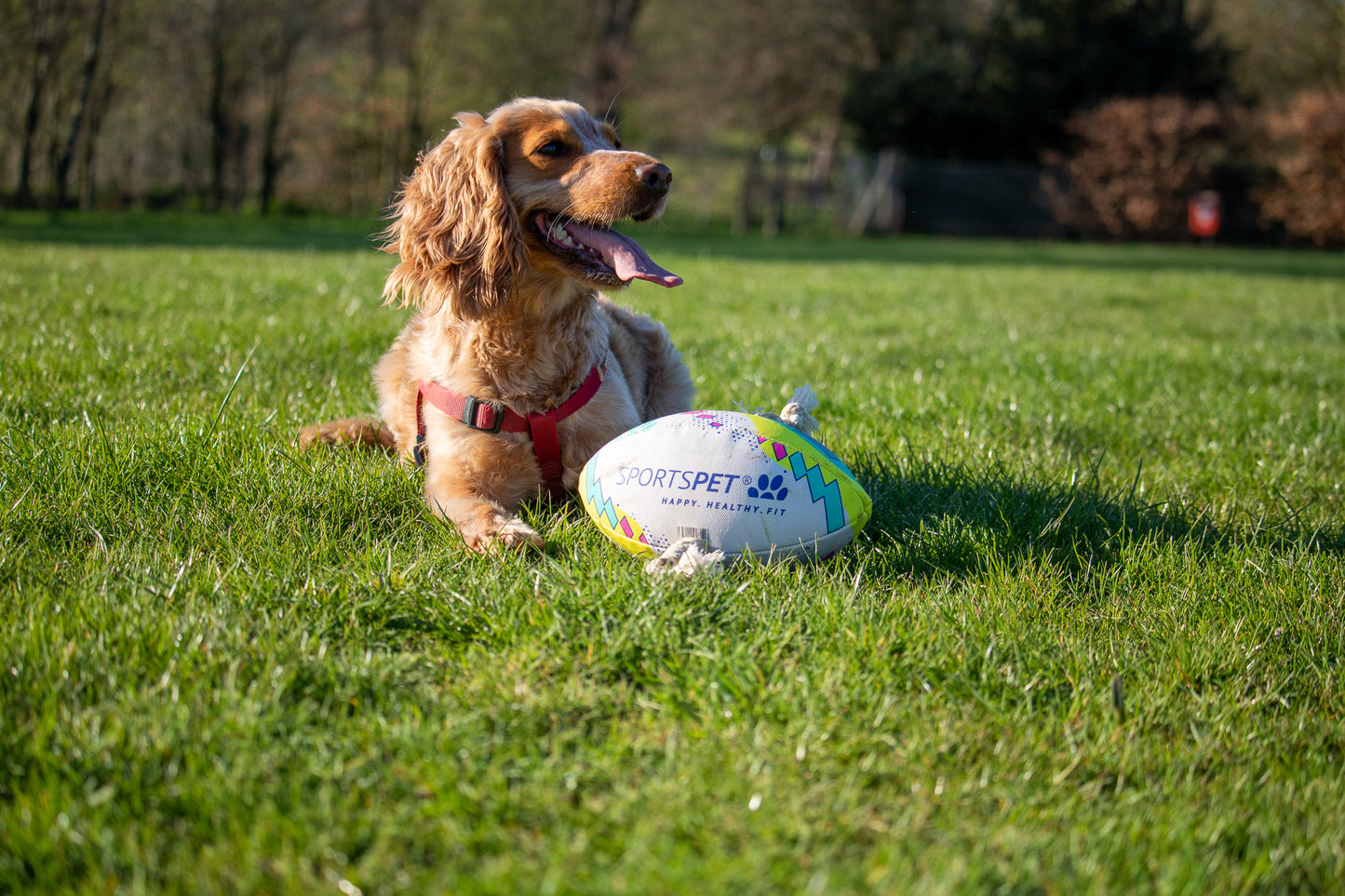 SPORTSPET Rugby Balls