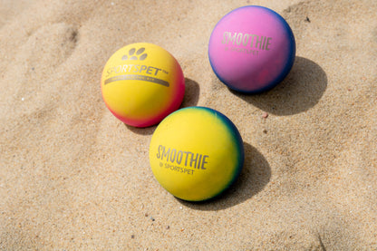 SPORTSPET Tough Bounce Smoothie 65mm Balls