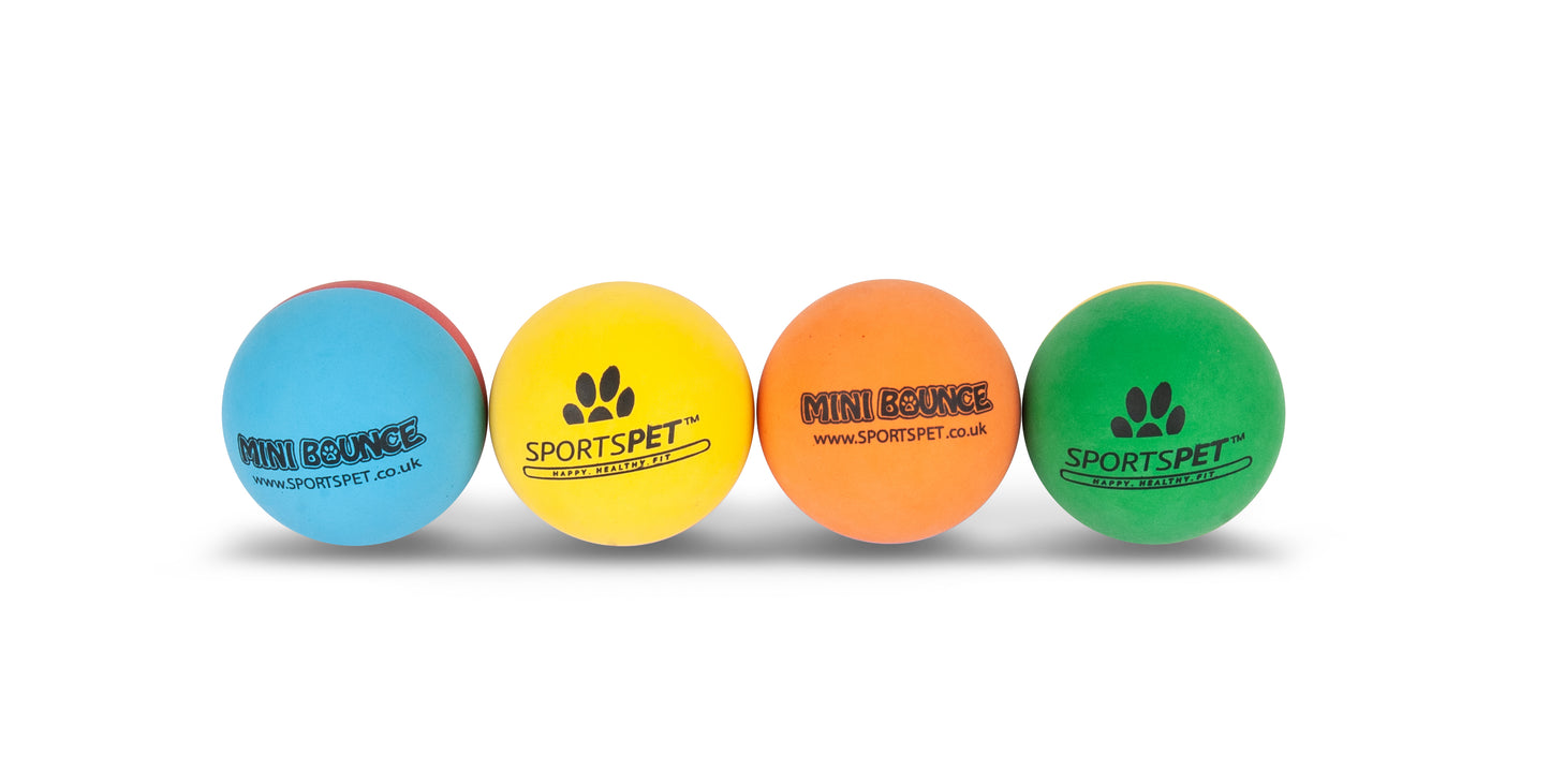 SPORTSPET mini Bounce 8pk - Puppy